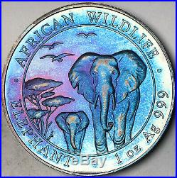 2015 Somalia African Wildlife Elephant 100 Shillings. 999 Silver Blue Toned (dr)