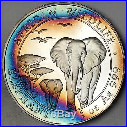 2015 Somalia African Wildlife Elephant 100 Shillings. 999 Silver Toned Blue (dr)