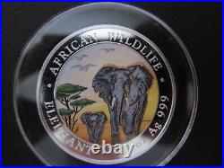 2015 Somalia Elephant African Wildlife 1 Oz Color Pure Silver BU Coin Day