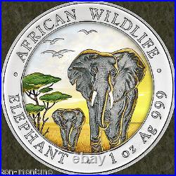 2015 Somalian ELEPHANT DAY COLORIZED African Wildlife 1oz Silver Coin MTG=5000
