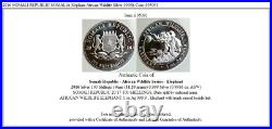 2016 SOMALI REPUBLIC SOMALIA Elephant African Wildlife Silver 100Sh Coin i105091