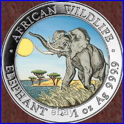 2016 Somalian ELEPHANT DAY COLORIZED African Wildlife 1oz Silver Coin MTG=5000