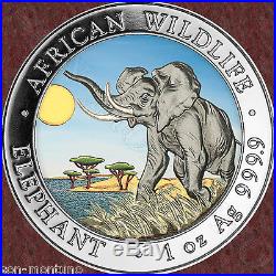2016 Somalian ELEPHANT DAY COLORIZED African Wildlife 1oz Silver Coin MTG=5000