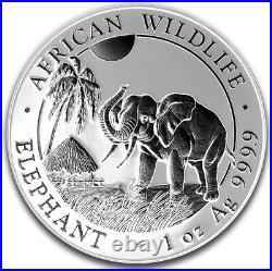 2017 1 Oz Silver 100 Shillings SOMALIAN SHADOW ELEPHANT Ruthenium Coin