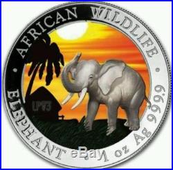 2017 1 Oz Silver SOMALIAN ELEPHANT AT SUNSET Colorized Coin