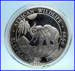 2017 SOMALI REPUBLIC SOMALIA Elephant African Wildlife Silver 100Shl Coin i77543
