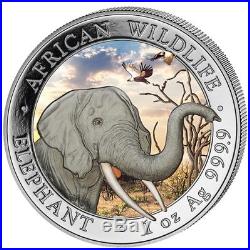 2018 ELEPHANT- AFRICAN WILDLIFE DAY/NIGHT SET 2X 1 OZ COLOR SILVER COIN 100 Sh