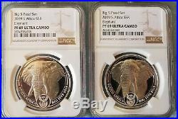 2019 Proof Krugerrand WithElephant Privy & Proof Big5 Elephant 2 Coin Set PF69 UC