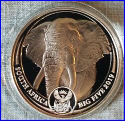 2019 Proof Krugerrand With Elephant Privy & Proof Big5 Elephan2 Coin set. IN HAND