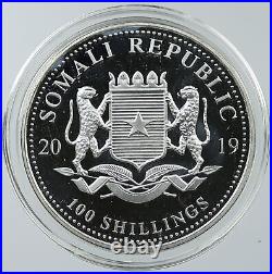 2019 SOMALIA REPUBLIC Elephant African Wildlife Proof Silver 100Shl Coin i116522