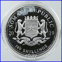 2019 SOMALIA REPUBLIC Elephant African Wildlife Proof Silver 100Shl Coin i116538
