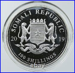 2019 SOMALIA REPUBLIC Elephant African Wildlife Proof Silver 100Shl Coin i116544