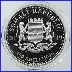 2019 SOMALIA REPUBLIC Elephant African Wildlife Proof Silver 100Shl Coin i116556