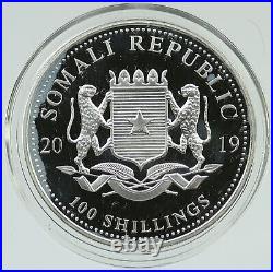 2019 SOMALI REPUBLIC SOMALIA Elephant African Wildlife Silver 100Sh Coin i116499