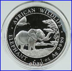 2019 SOMALI REPUBLIC SOMALIA Elephant African Wildlife Silver 100Sh Coin i116507