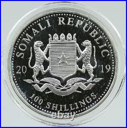 2019 SOMALI REPUBLIC SOMALIA Elephant African Wildlife Silver 100Sh Coin i116507