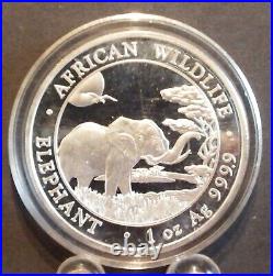 2019 Somali Republic African Elephant 1 oz BU. 999 Fine Silver Coin in Capsule