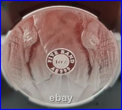 2019 South Africa Big 5 Elephant 1st Day of Prod PF70 Ultra Cameo Signed by TUMI