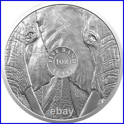 2019 South Africa Elephant Big 5 Series 1 1 oz Silver Coin