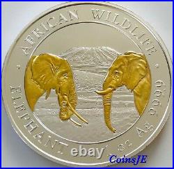2020 Somalia Elephant African Wildlife 1 Oz. 999 Gold Gilded Silver Coin