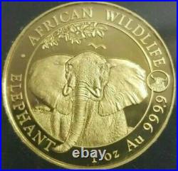 2021 1000 Shillings Somalia AFRICAN ELEPHANT With OX Privy 1 Oz Silver Coin