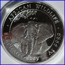 2021 5oz Silver Coin Somali Elephant 5oz Fine Silver 9999 BU Bullion Coin