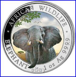 2021 ELEPHANT Day & Night set 2 Coin 1 oz Silver Color Coin Somalia