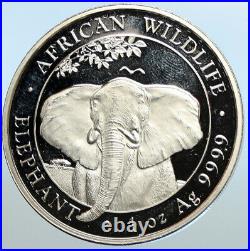 2021 SOMALIA REPUBLIC Elephant African Wildlife Proof Silver 100Sh Coin i100680