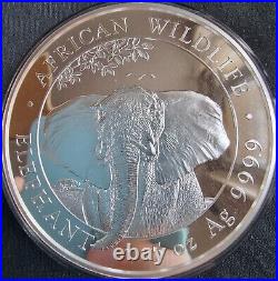 2021 Somali 5oz African Wildlife Elephant 5oz Fine Silver 9999 BU Bullion Coin