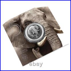 2021 South Africa 1 Ounce Silver SOUTH AFRICA Coin Elephant The Big Five