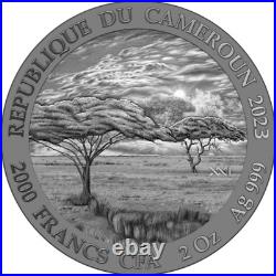 2023 Cameroon Elephant Expressions of Wildlife 2 oz 999 Antique Silver Coin