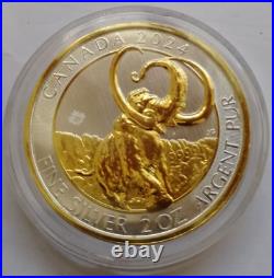 2024 Silver Canadian Woolly Mammoth 2oz. 999 Gilded Coin Edition