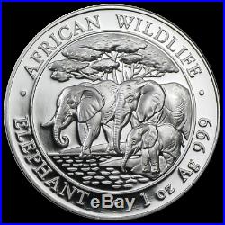 40 (Forty) 1oz 2013 Somalia Silver Elephant BU 2 Unopened Rolls of Twenty