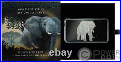 AFRICAN ELEPHANT Animals of Africa 1 Oz Silver Coin 2$ Solomon Islands 2021