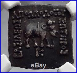 APOLLODOTOS I 174BC Ancient Greek India Bull Elephant Silver Coin NGC i60166