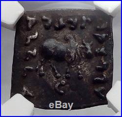 APOLLODOTOS I 174BC Ancient Greek India Bull Elephant Silver Coin NGC i60166