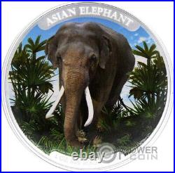 ASIAN ELEPHANT 1 Oz Silver Coin 3000 Riels Cambodia 2023