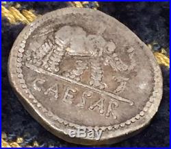 Ancient Roman Coin BC Brutus Silver Denarius Elephant War Sicily Unknown Mint 49
