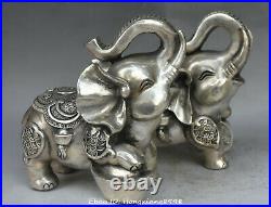 China FengShui Silver Wealth Auspicious Elephant Money Coin Statue Animal Pair