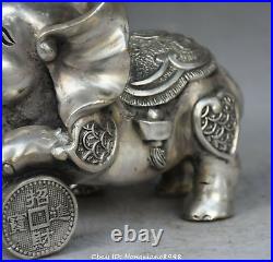 China FengShui Silver Wealth Auspicious Elephant Money Coin Statue Animal Pair
