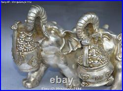 China Old Silver Wealth Auspicious Elephant Money Coin treasure bowl Statue Pair