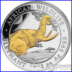 ELEPHANT African Wildlife 1 Oz Silver Coin 100 Shillings Somalia 2023