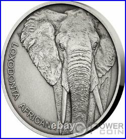 ELEPHANT Animal Champion 1 Oz Silver Coin 1$ Niue 2020