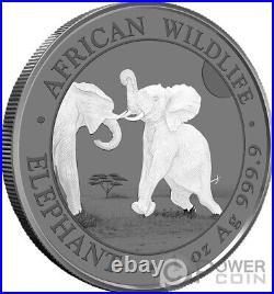 ELEPHANT Black White Set 2 x 1 Oz Silver Coin 100 Shillings Somalia 2024
