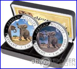 ELEPHANT Day and Night Set 2 x 1 Oz Silver Coin 100 Shillings Somalia 2024