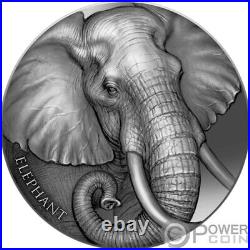 ELEPHANT Expressions of Wildlife 2 Oz Silver Coin 2000 Francs Cameroon 2023