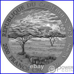 ELEPHANT Expressions of Wildlife 2 Oz Silver Coin 2000 Francs Cameroon 2023