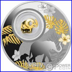 ELEPHANT Lucky Silver Coin 500 Francs Cameroon 2020