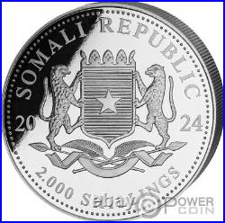 ELEPHANT Moon African Wildlife 1 Kg Silver Coin 2000 Shillings Somalia 2024