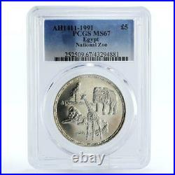 Egypt 5 pounds National Zoo Animals Lion Elephant MS67 PCGS silver coin 1991